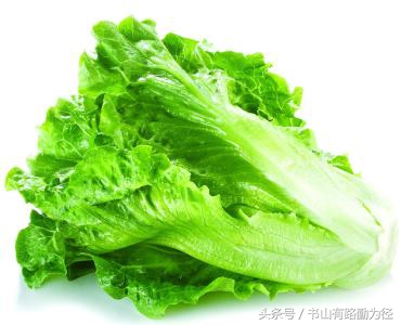 汉堡有助于减肥,汉堡对于减肥有影响吗