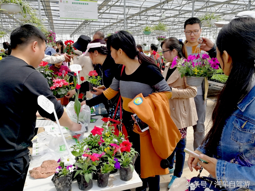 泾阳县城一日游,泾阳县一日游的绝佳去处
