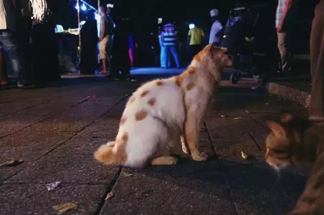 最热闹的集市,世界上最有人气的集市