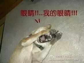 这是一篇有毒且辣眼睛的话题，千万别点开！