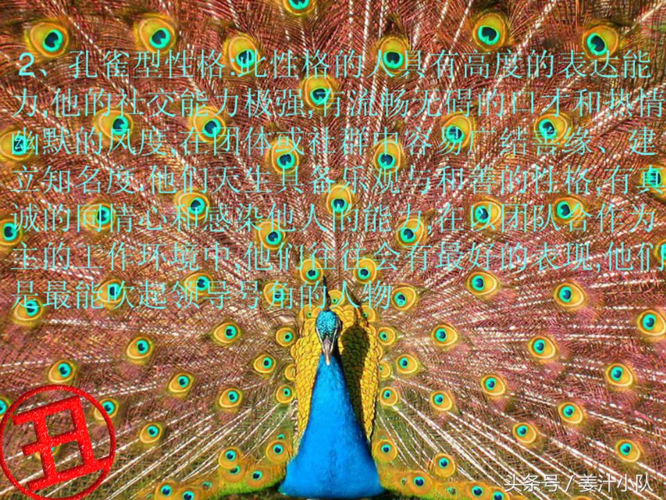 打造高颜值ppt的素材与方法,令人惊艳的ppt应该有什么特点