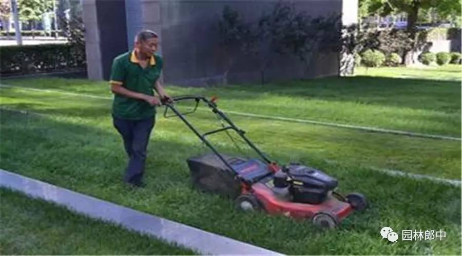 园林养护这个工作怎么样,园林绿地建植与养护管理