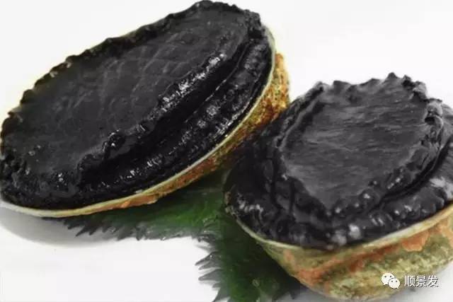 十种常见贝类海鲜图片,贝类海鲜全图