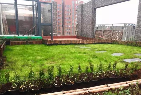 低成本自己改造屋顶花园,自己动手建房子花园