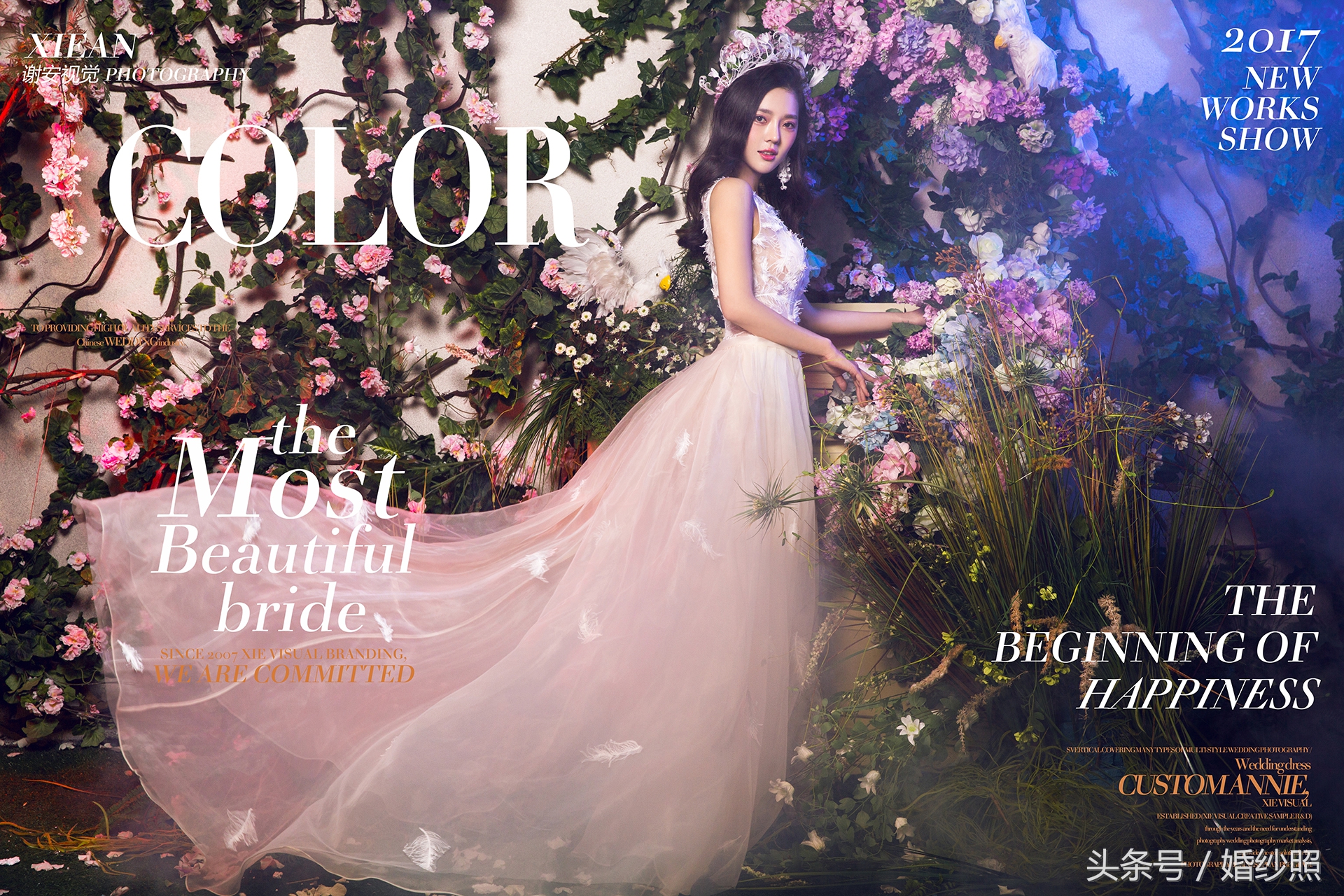 东方韵味婚纱照紫旗袍,婚纱照安漫风