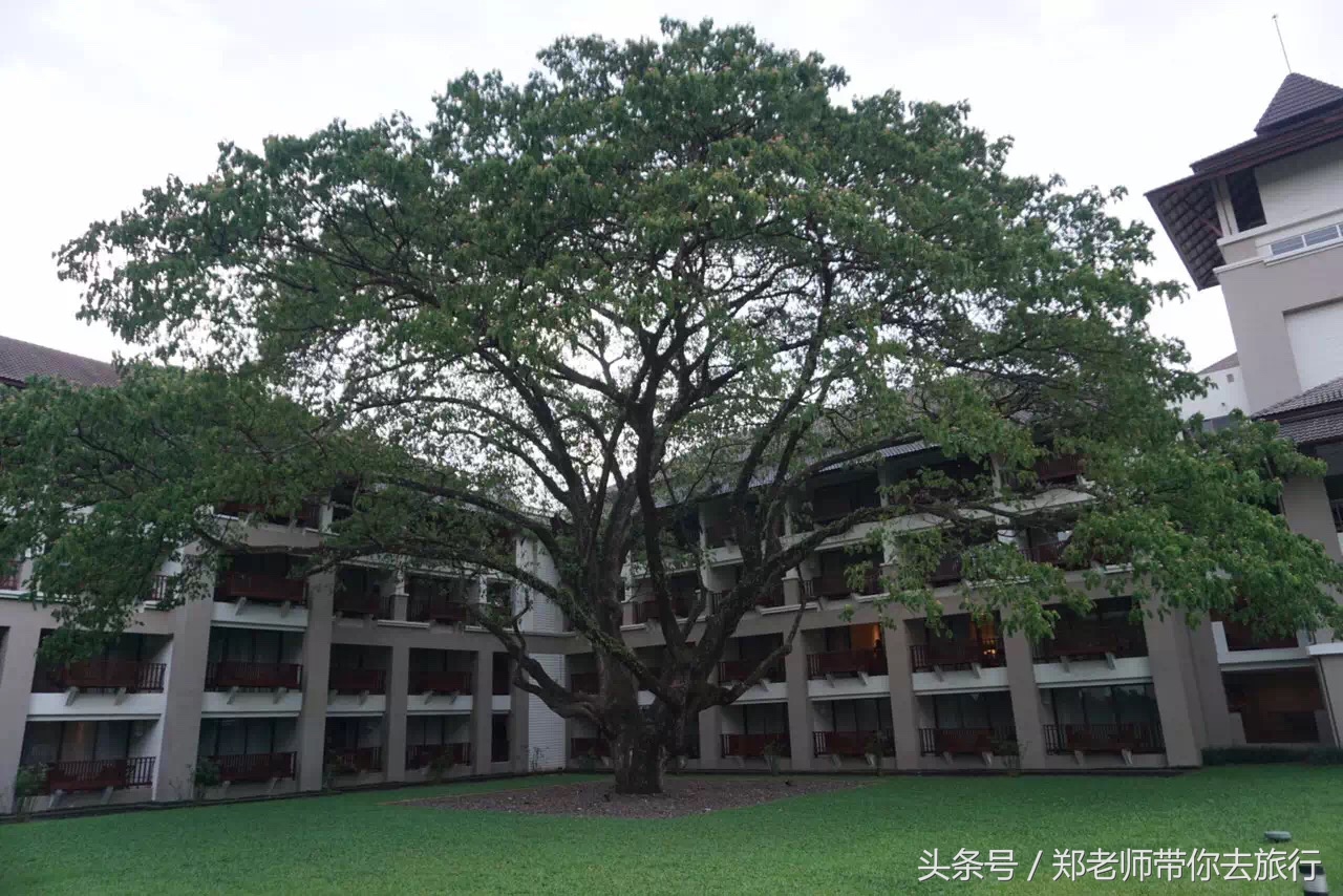 云南自驾泰国旅游攻略最新,泰国游跟团游自由行