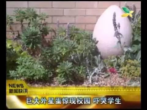 看过奇葩说后的真实感受,看完奇葩说后的感想