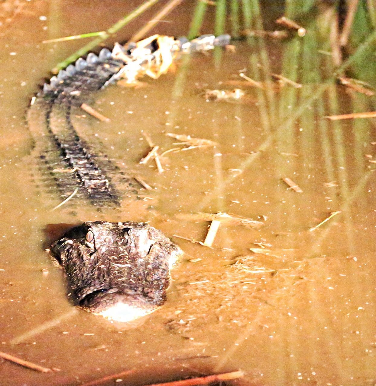 佛罗里达七日游攻略,佛罗里达5天旅游