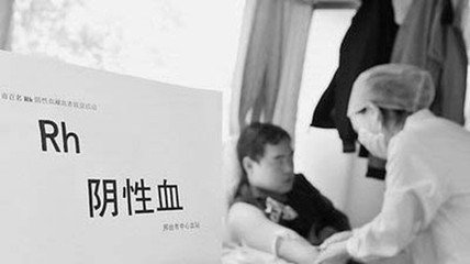 熊猫血是什么血型o型,熊猫血是什么血型ab还是o