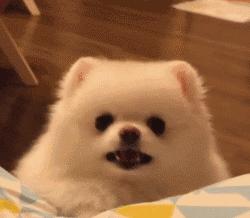 男子骑电瓶车失控撞上路边小哥,男子骑电动车撞上路边停放车受伤