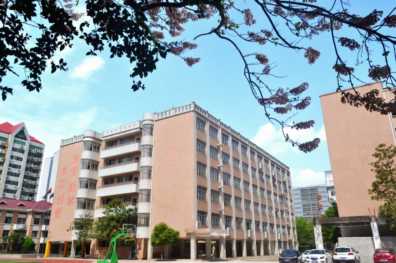 如何爆料学校,百树华联学校现状