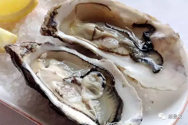 十种常见贝类海鲜图片,贝类海鲜全图