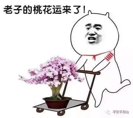 网恋美女竟是男儿身?平顶山警方破获系列网络诈骗案,81人被抓