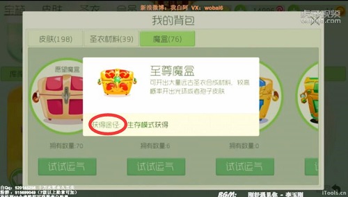 球球大作战老白的最新视频,球球大作战老白直播视频