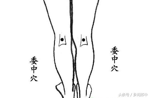 背部长痘的祛痘穴位,按哪个穴位祛痘痘