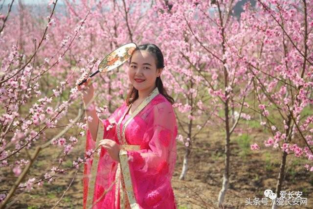 旅游:你知道西安城南的桃花岛、桃花庵在哪里吗?
