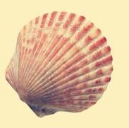 来中国旅游值得带走的纪念品,旅游纪念品的奇葩打开方式