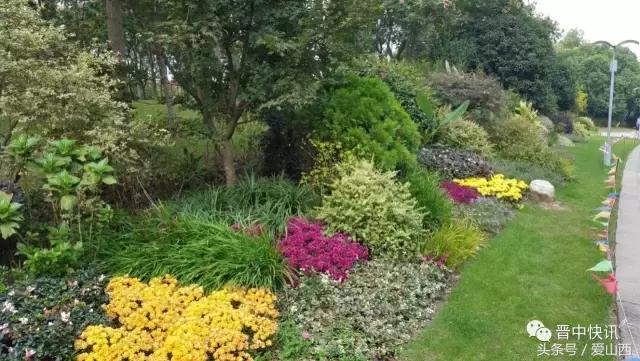 晋景:对不起,我要去榆次了,别再找我了!