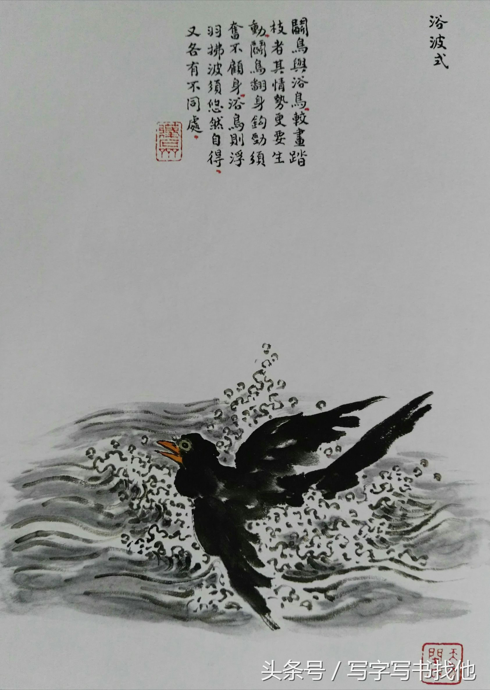 100幅鸟的画法内附绘画步骤,画鸟初学者入门步骤