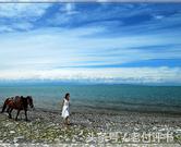 瑗挎捣鎯呮瓕涔炰笎婕斿敱,瑗挎捣鎯呮瓕闆洴婕斿敱