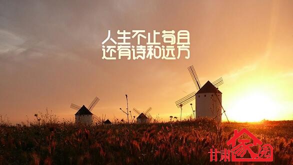 有诗有远方,有诗有远方391