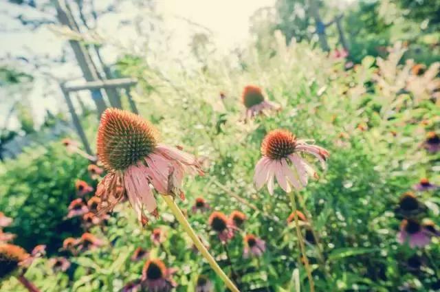 魔都各大高校里竟藏了这么多人少景美的秘密好地方,假期约起来!