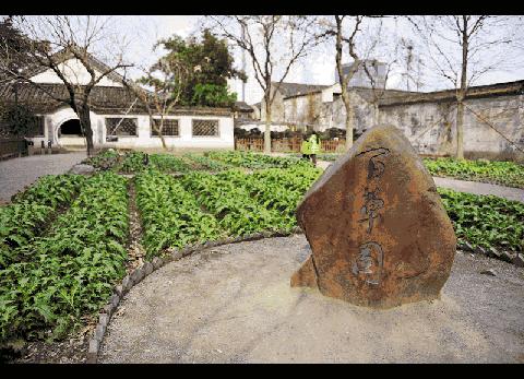 魔都各大高校里竟藏了这么多人少景美的秘密好地方,假期约起来!