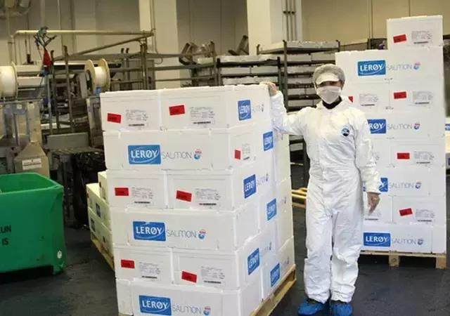 大西洋鲑鱼和挪威三文鱼的区别,我们吃的三文鱼怎么来的