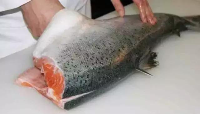 大西洋鲑鱼和挪威三文鱼的区别,我们吃的三文鱼怎么来的