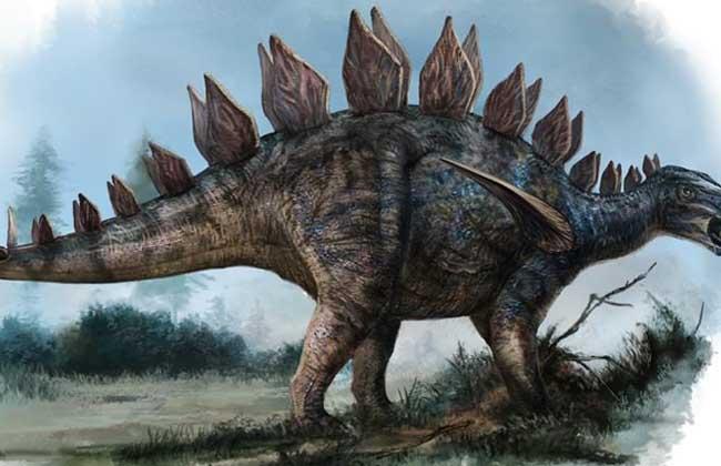 关于恐龙你都知道什么秘密习性,关于恐龙你所不知道的几个真相