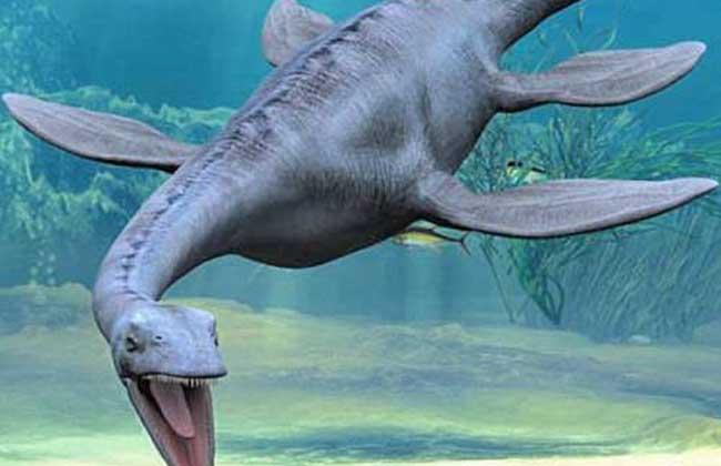 关于恐龙你都知道什么秘密习性,关于恐龙你所不知道的几个真相