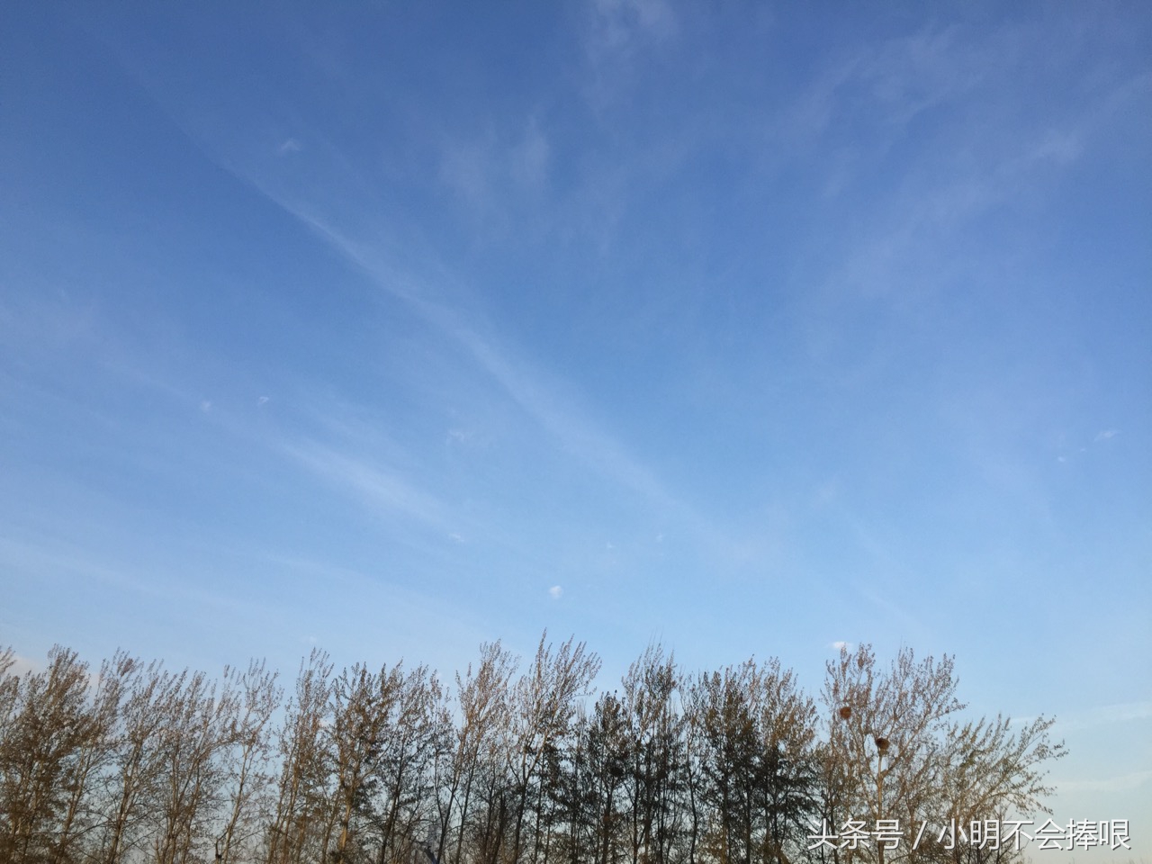 手机拍摄高清摄影,手机拍摄顶级摄影