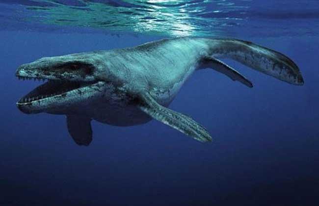 关于恐龙你都知道什么秘密习性,关于恐龙你所不知道的几个真相