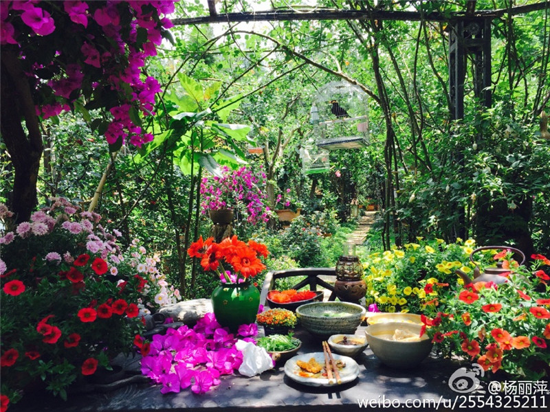 鲁豫和杨丽萍照片,美哭了新疆舞蹈