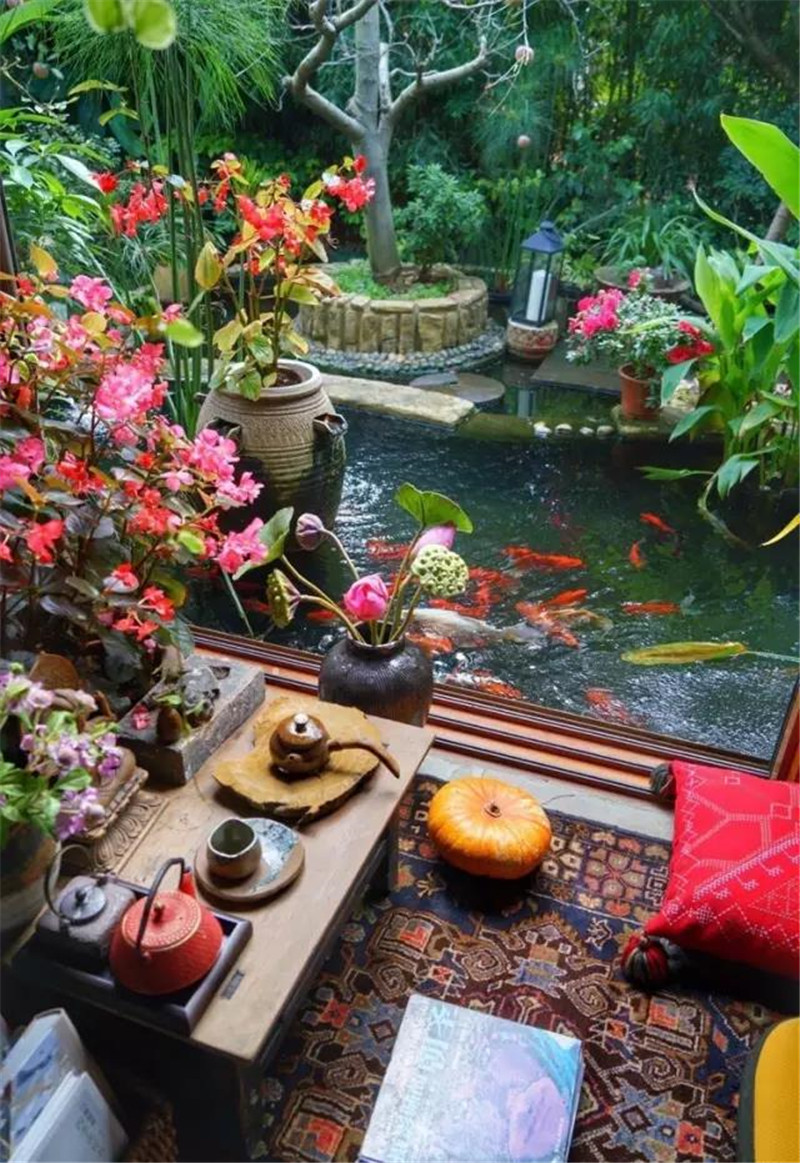 鲁豫和杨丽萍照片,美哭了新疆舞蹈