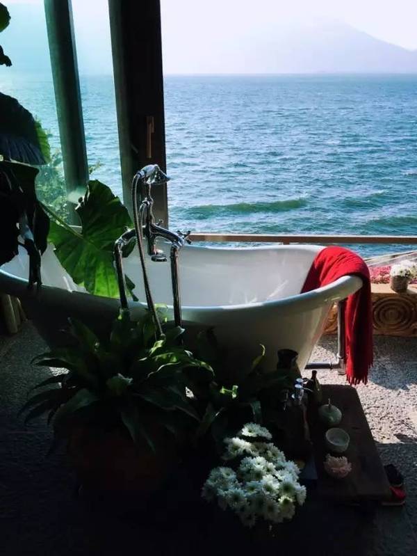 鲁豫和杨丽萍照片,美哭了新疆舞蹈