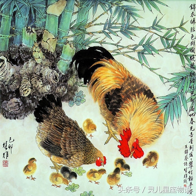 属鸡本命年运气不好怎么办,属鸡的本命年有什么讲究