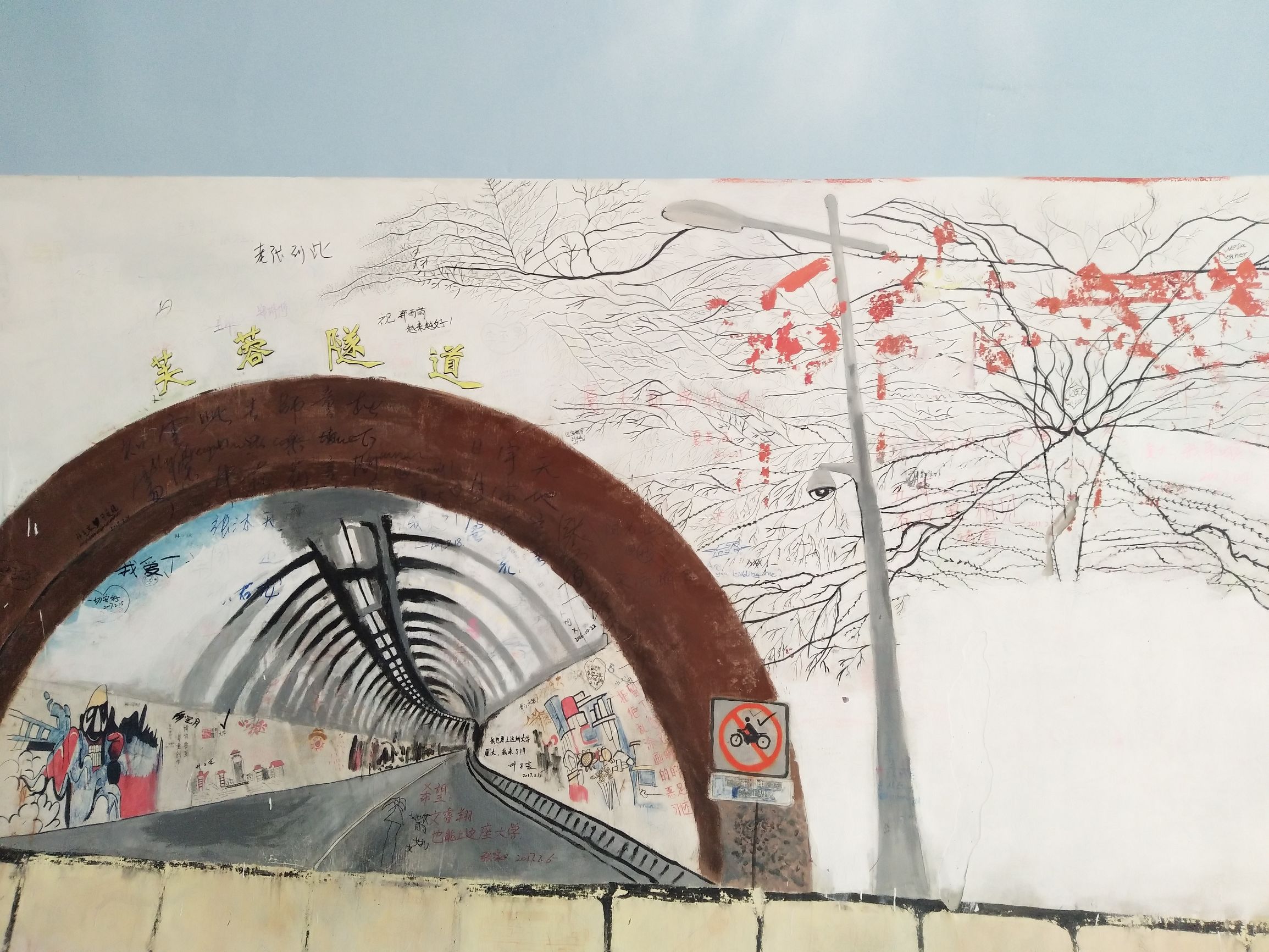 厦门自由行导游推荐,厦门自由行五天大概花费