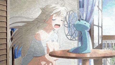 荷兰猪适宜的温度,荷兰猪夏天降温视频教学