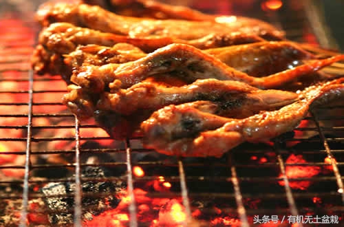 爱吃香蕉的植物大全,如何用香蕉培育香蕉苗