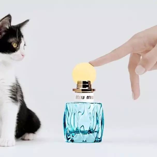 夏季香水攻略推荐,春夏香水怎么挑选最好闻