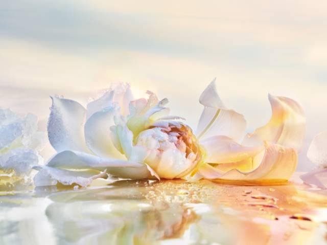 夏季香水攻略推荐,春夏香水怎么挑选最好闻