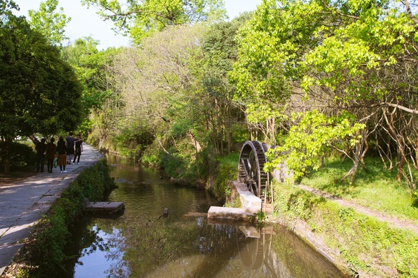 婕闀垮畨浣滃搧,婕鍞愭湞