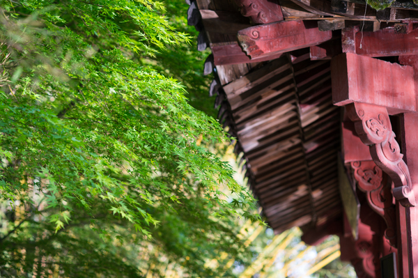 婕闀垮畨浣滃搧,婕鍞愭湞