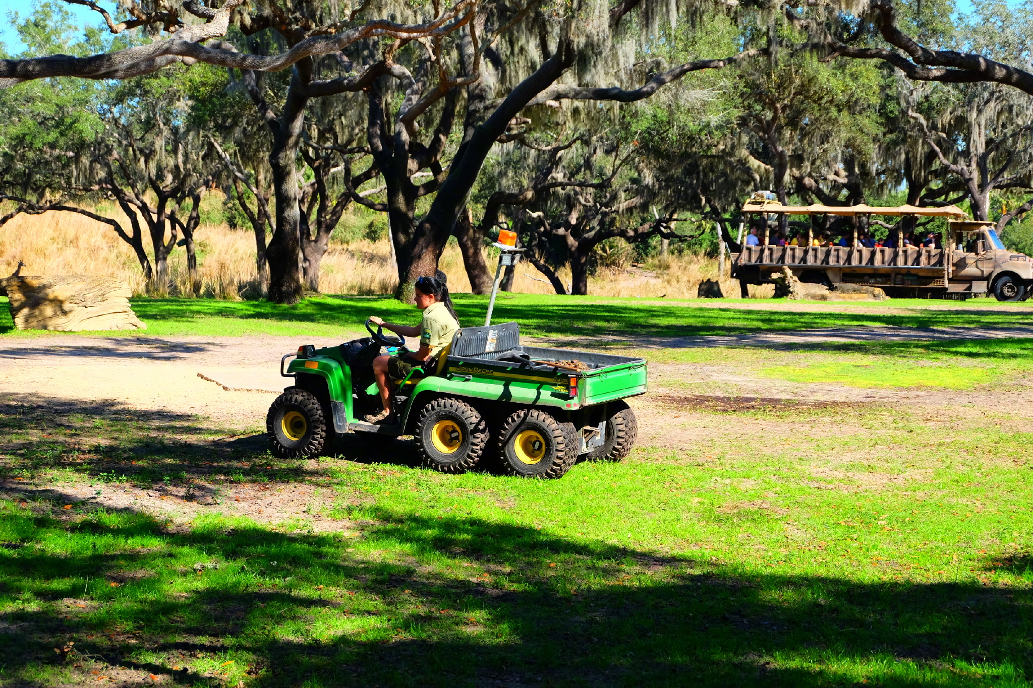 佛罗里达七日游攻略,佛罗里达5天旅游