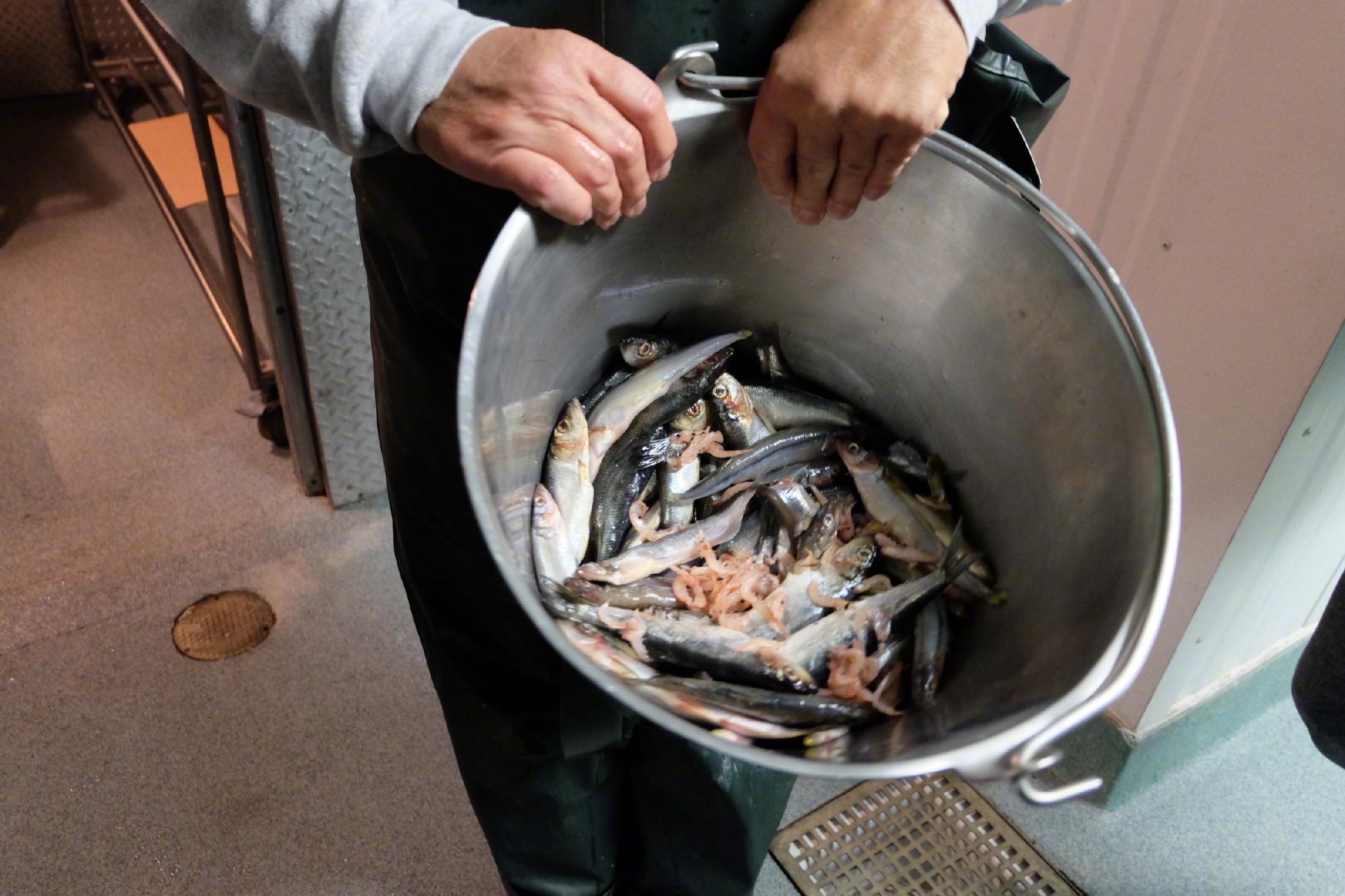 佛罗里达七日游攻略,佛罗里达5天旅游