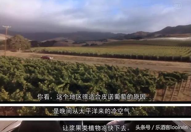 大师班葡萄酒,葡萄酒大师班