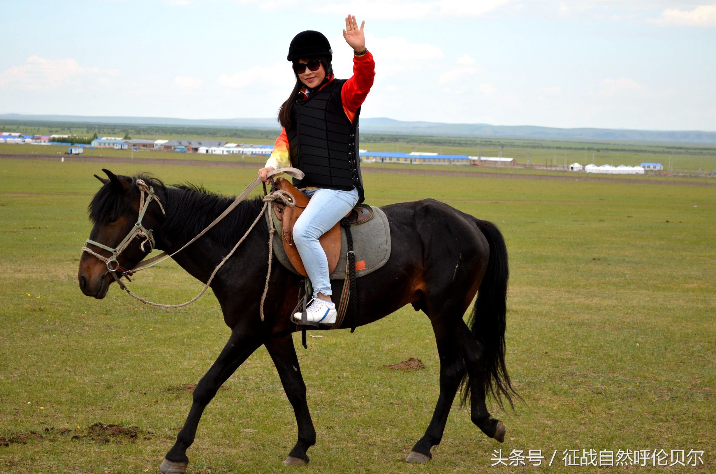 骑上草原的骏马跑一圈,骑上马马一直跟着马群怎么办