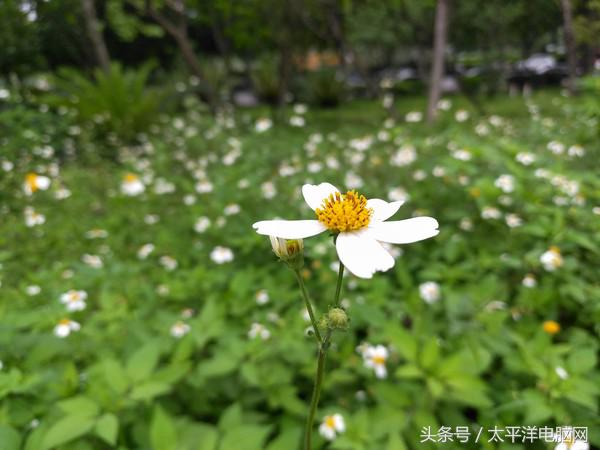 金立m6splus最低价格,金立m6splus的价格