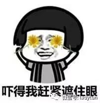 gucci竹节贝壳迷你包,gucci螃蟹包